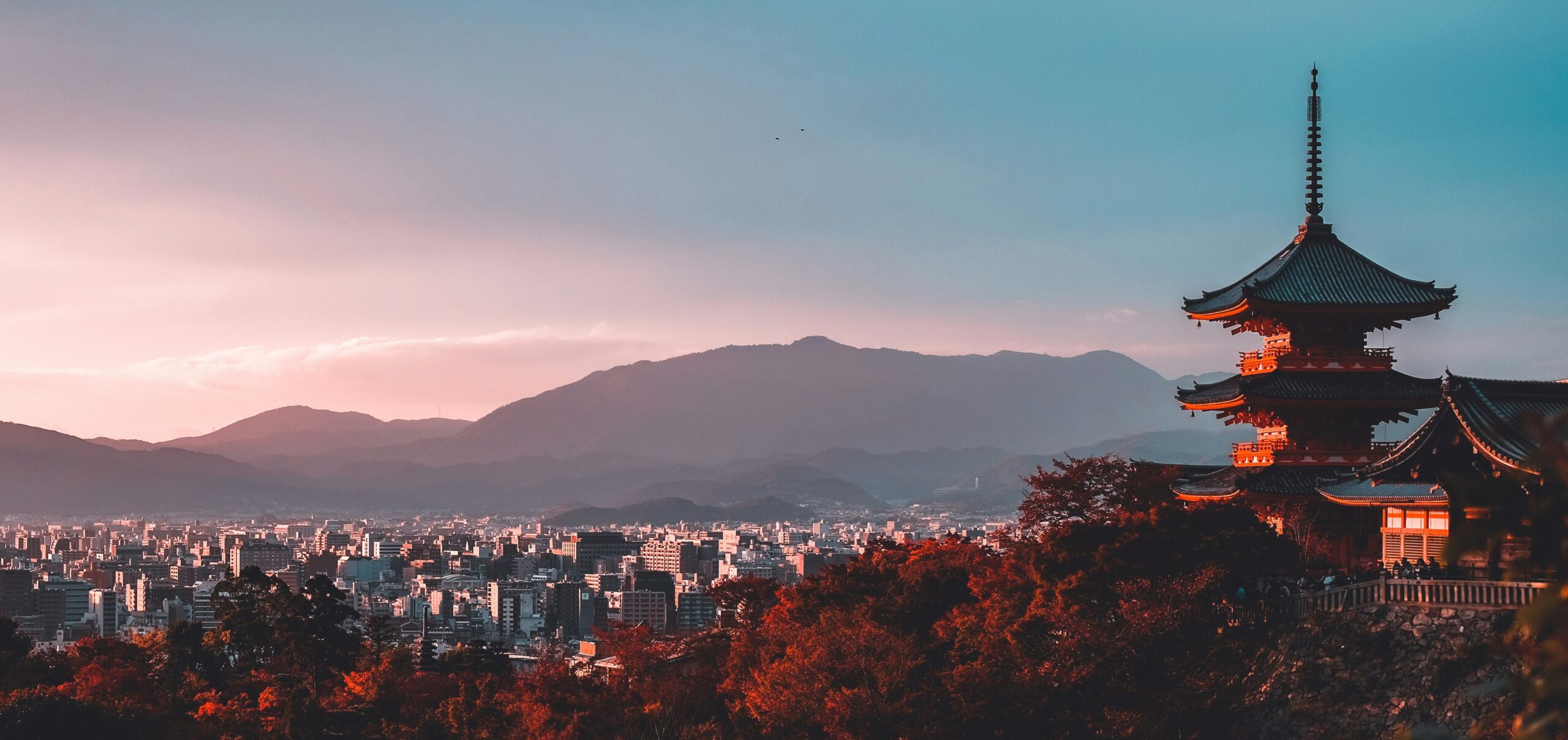 税理士のための相談窓口《 TEAM京都 》